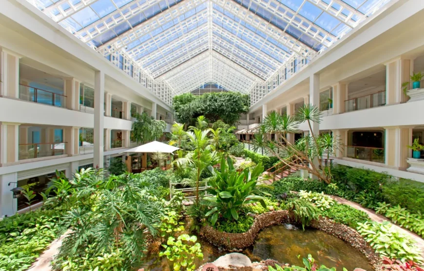 Luxury Pattaya ( Luxury )3N/4D