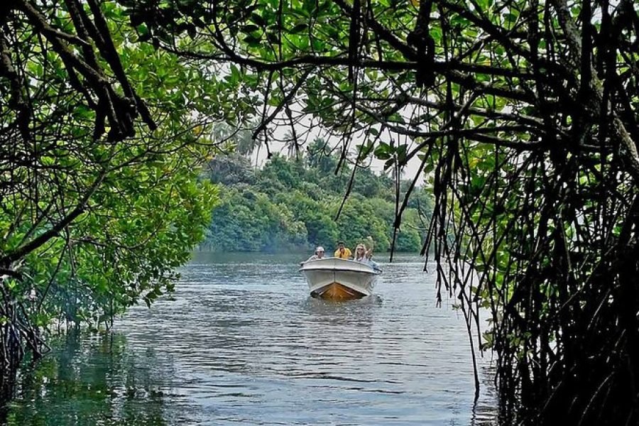 3N/4D – (Deluxe) Chiling Sri Lanka (2N Bentota + 1N Colombo)