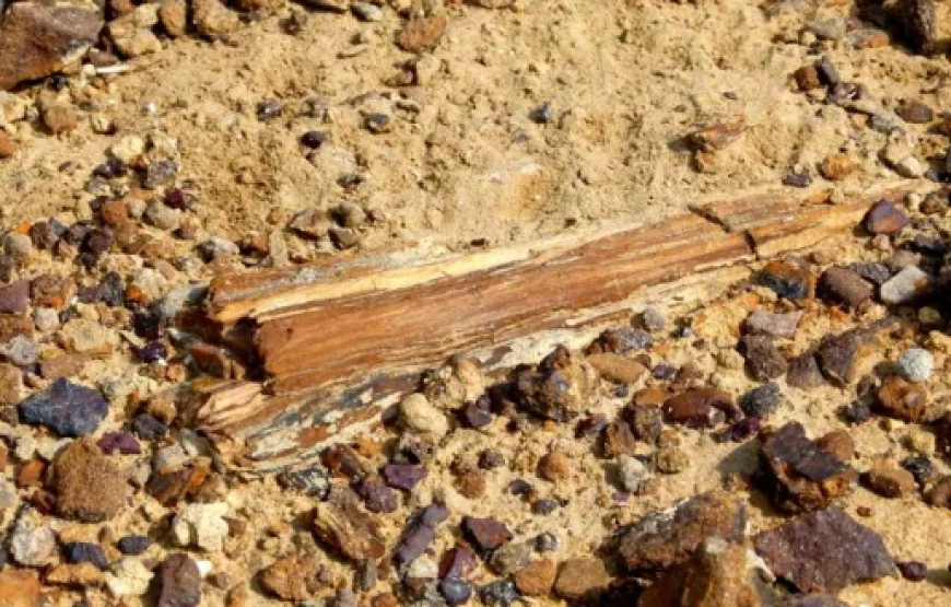 3N/4D – (Elegant) Desert Trails (2N Jaisalmer + 1N Jodhpur)