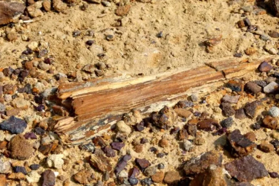 3N/4D – (Elegant) Desert Trails (2N Jaisalmer + 1N Jodhpur)