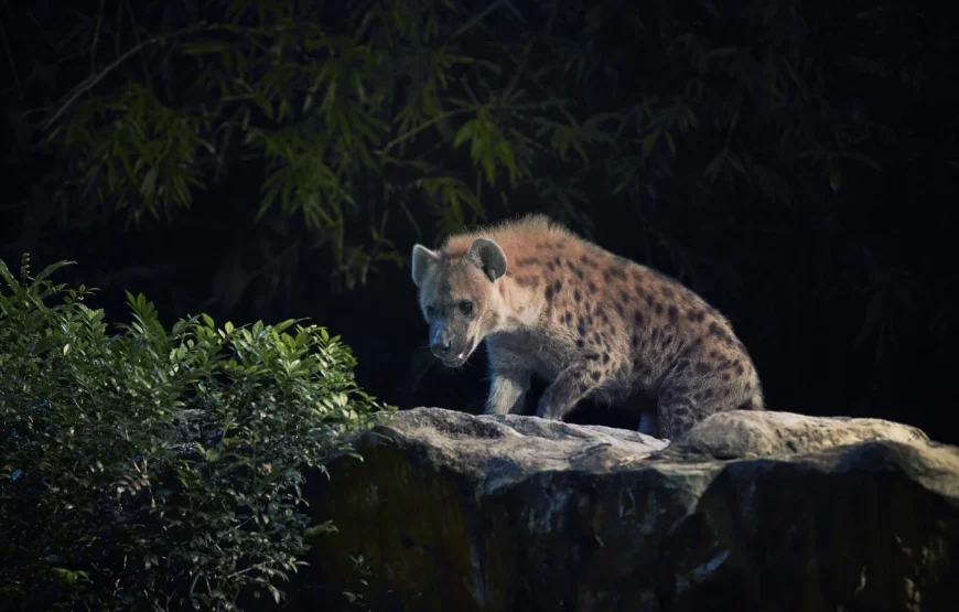 5N/6D – (Deluxe) Discover Singapore (5N Singapore)