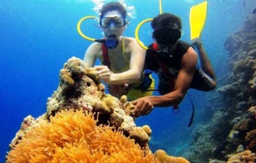 5N/6D-(OTIQ-DFQOXU) ANDAMAN HEAVEN(2N PORTBLAIR+2N HAVLOCK+1N NEIL)