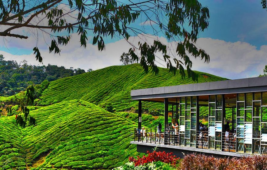 7N/8D-(0TIQW-75CWHD) KERALA WITH KANYAKUMARI ( 3N MUNNAR+1N THEKKADY+ 1N ALLEPPEY+ 2N KOVALAM)