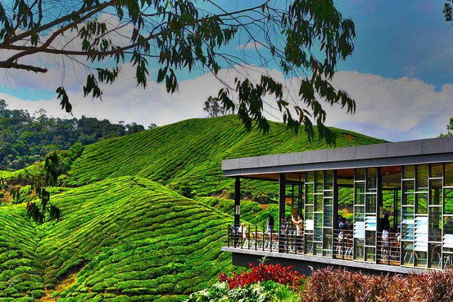 4N/5D- (OTIQ-WDLUKD) KERALA HONEYMOON ( 2N MUNNAR+1N THEKKADY+1N HB OR HOTEL)