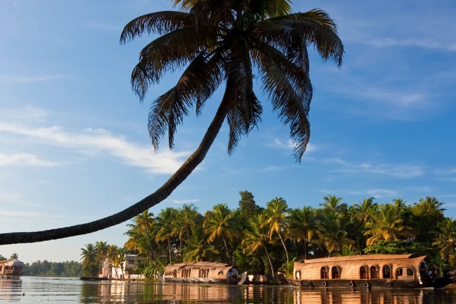 (3N/4D) – ( ELEGANT ) Mystic Kerala (02N Munnar + 01N Kumarakom)