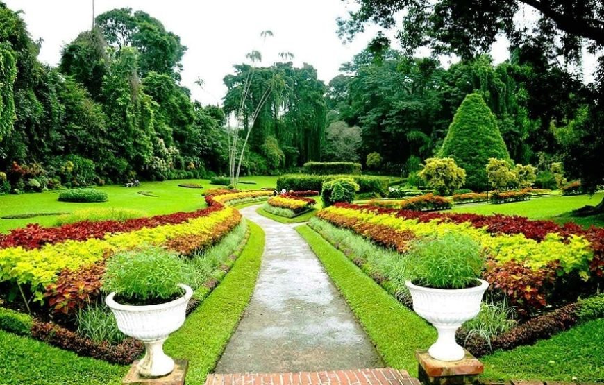 6N/7D – (Standard) Delight Sri Lanka (1N Dambulla+1N Kandy+1N Nuwara Eliya +2N Bentota +1N Colombo)