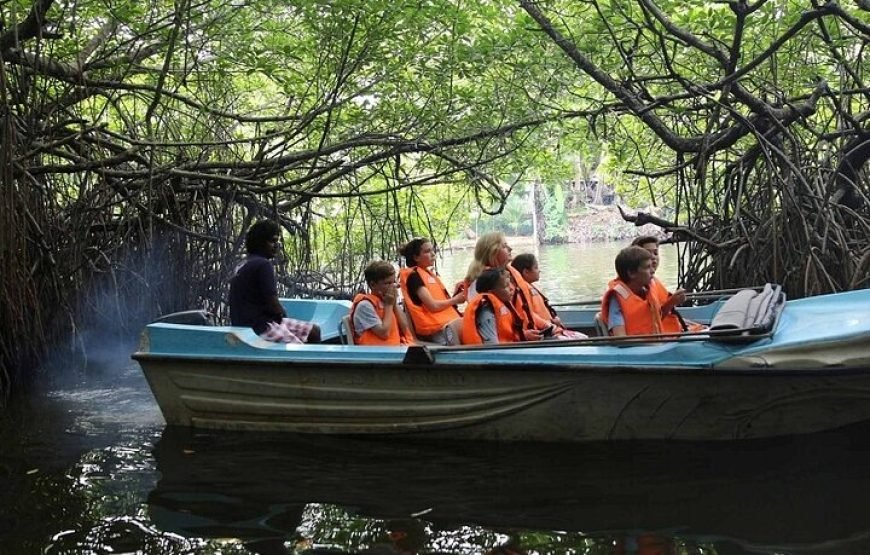 6N/7D – (Standard) Delight Sri Lanka (1N Dambulla+1N Kandy+1N Nuwara Eliya +2N Bentota +1N Colombo)