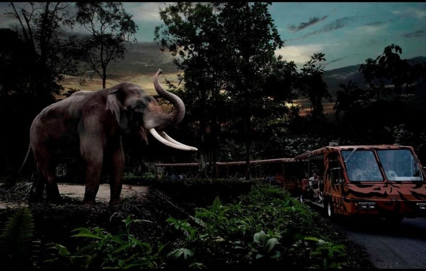 5N/6D -(Luxury)  Discover Singapore (5N Singapore)