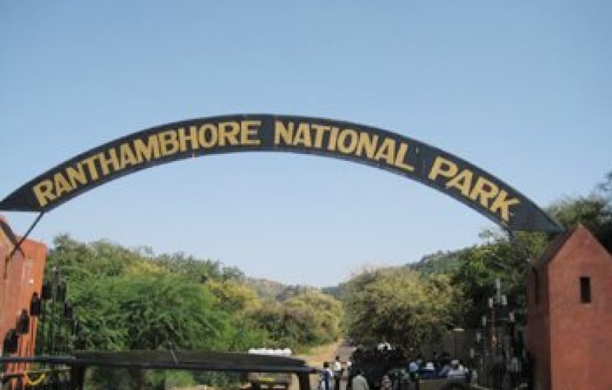 8N/9D – ( ELEGANT ) Forts & Palaces of Rajasth (2N JPR + 1N Ranthambore + 2N UDPR + 1N JDP + 2N JSMR)