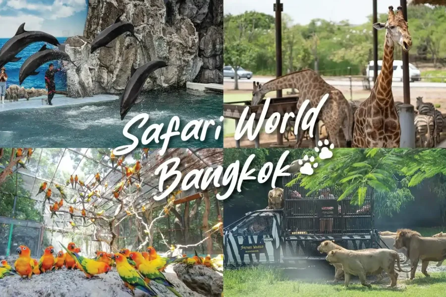 5N/6D – ( Deluxe ) Thailand Escape (3N Pattaya + 2N Bangkok)