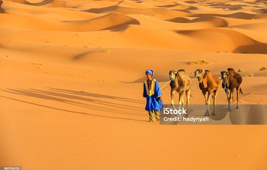 3N/4D – (Elegant) Desert Trails (2N Jaisalmer + 1N Jodhpur)