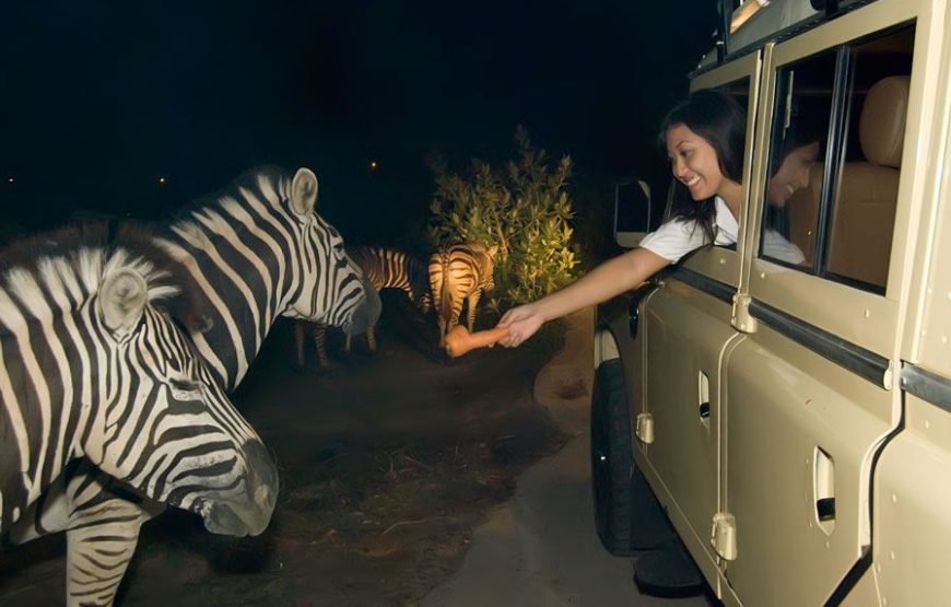 4N/5D – (Standard) Singapore Delight (4N Singapore)