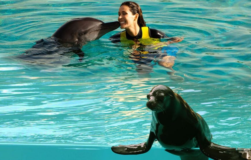 5N/6D –  (Deluxe) Fix Departure: Best of Dubai***Land Only (3N Dubai + 2N Costa Cruise).