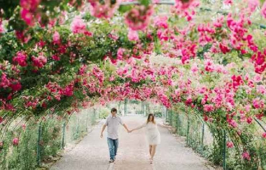 4N/5D- (OTIQ-HONEYMOON) SHIMLA MANALI HONEYMOON PACKAGE