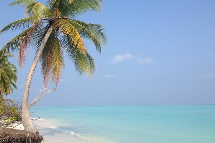 5N/6D-(OTIQ-DFQOXU) ANDAMAN HEAVEN(2N PORTBLAIR+2N HAVLOCK+1N NEIL)