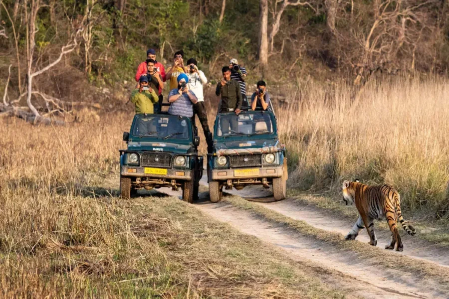 (4N/5D) – ( BASIC ) Charming Kumaon (2N Nainital + 2N Corbett)