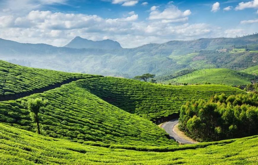 (5N/6D) – ( BASIC ) Sublime Kerala (1N Cochin + 2N Munnar + 1N Thekkady + 1N Kumarakom)