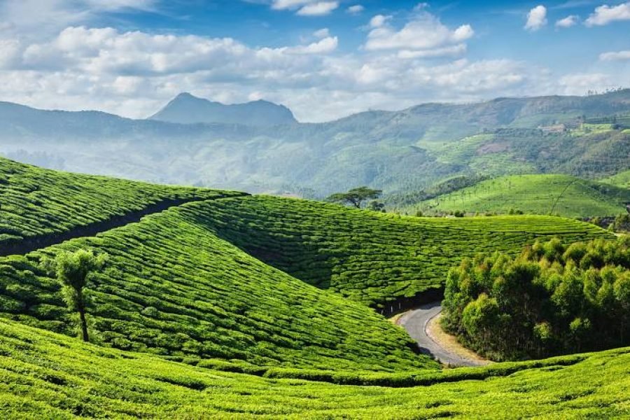 5N/6D- (OTIQ-WDLUKD) FABULOUS KERALA ( 2N MUNNAR+2N THEKKADY+1N ALLEPPEY)