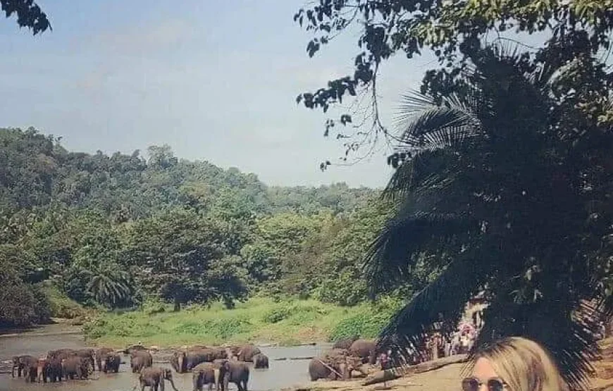 6N/7D – (Standard) Delight Sri Lanka (1N Dambulla+1N Kandy+1N Nuwara Eliya +2N Bentota +1N Colombo)