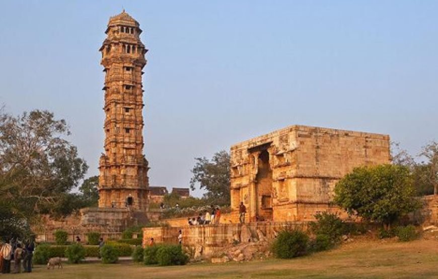 8N/9D – (Basic) Forts & Palaces of Rajasthan (2N JPR + 1N Ranthambore + 2N UDPR + 1N JDP + 2N JSMR)