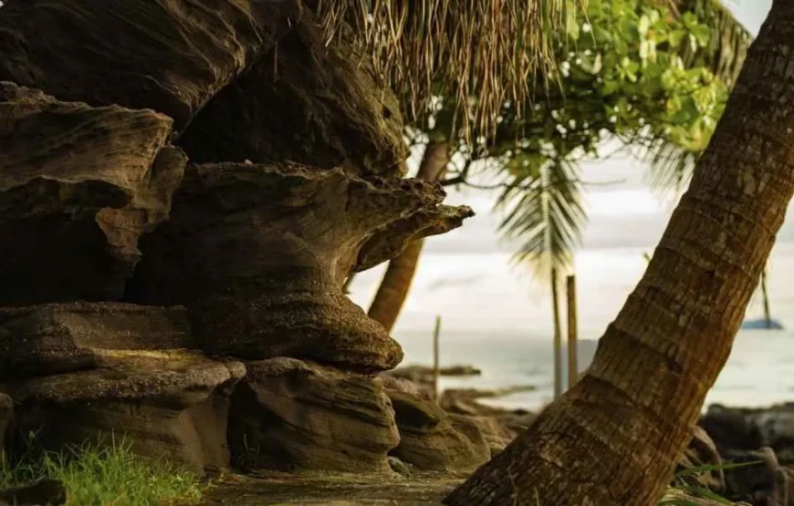 8N/9D- (OTIQ-PVIW09) VIETNAM LOVER PHU-QUOC (1N Hanoi+1N Halong Bay+3N Ho Chi Minh City+ 3N Phu Quoc)