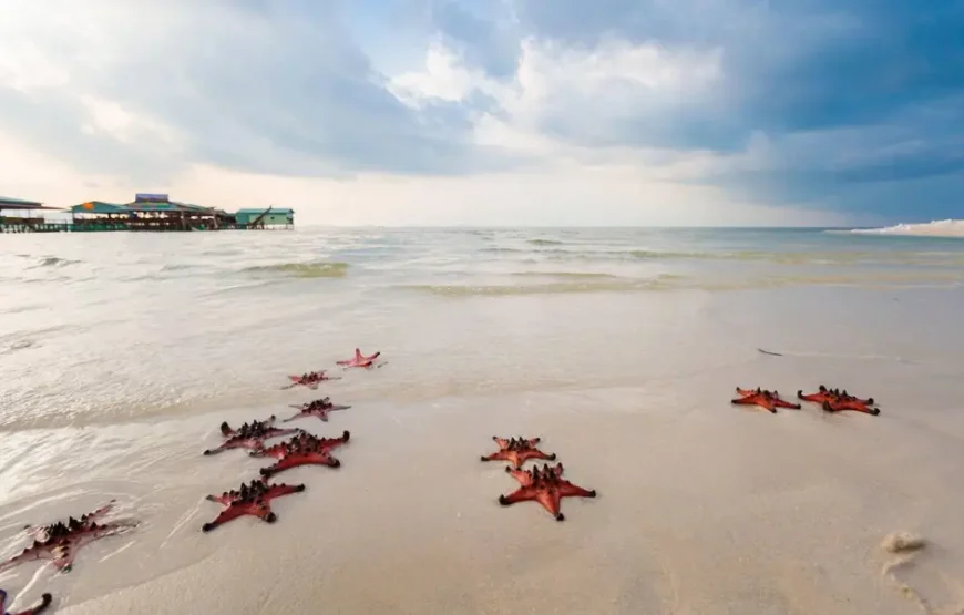 3N/4D-(OTIQ-WDLUKD) GOA Peninsula Beach ( 3N GOA)