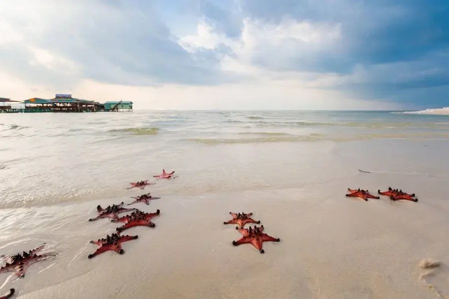 3N/4D- (OTIQ- 2KV2ED) PHU-QUOC DELIGHT( 3N PHU-QUOC)