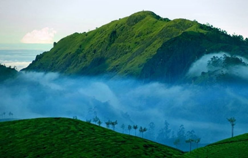 5N/6D- (OTIQ-GOBLV9) NATURE BEAUTY KERALA ( 1N COCHIN+ 2N MUNNAR+ 1N THEKKADY+ 1N ALLEPPEY)