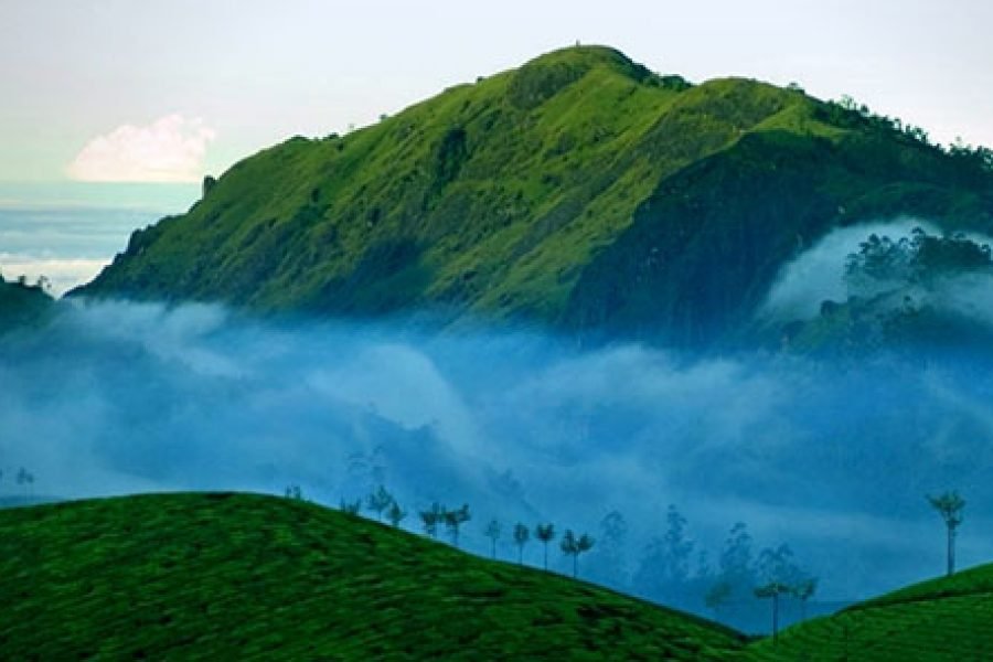 6N/7D- (OTIQ-GOBLV9) SUPER SAVER KERALA ( 2N MUNNAR+ 1N THEKKADY+ 1N ALLEPPEY+ 2N KOVALAM)