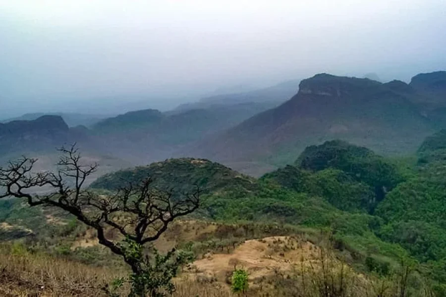 1N/2D- (OTIQ-G9UJSB) PACHMARHI TOUR