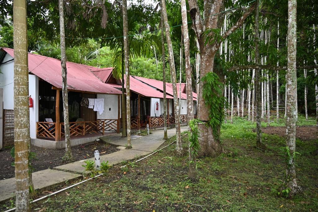 HOTEL- Placid beach resort/similar