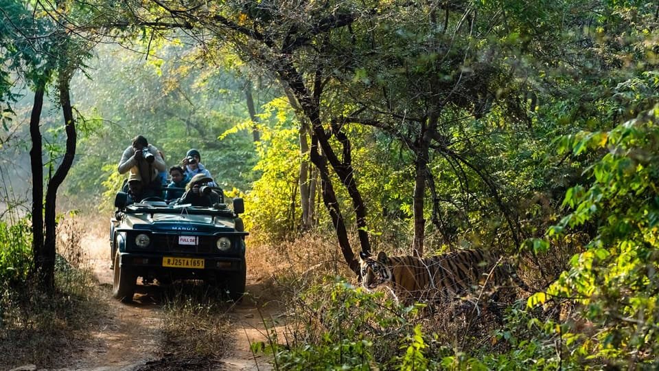 DAY 1 | DELHI -- JIM CORBETT -- DHIKALA
