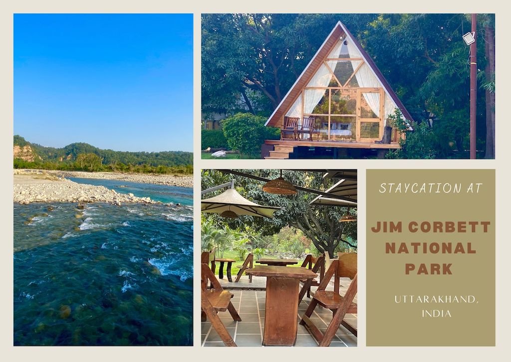 HOTEL- DHIKALA FOREST HOUSE **** OR SIMILAR