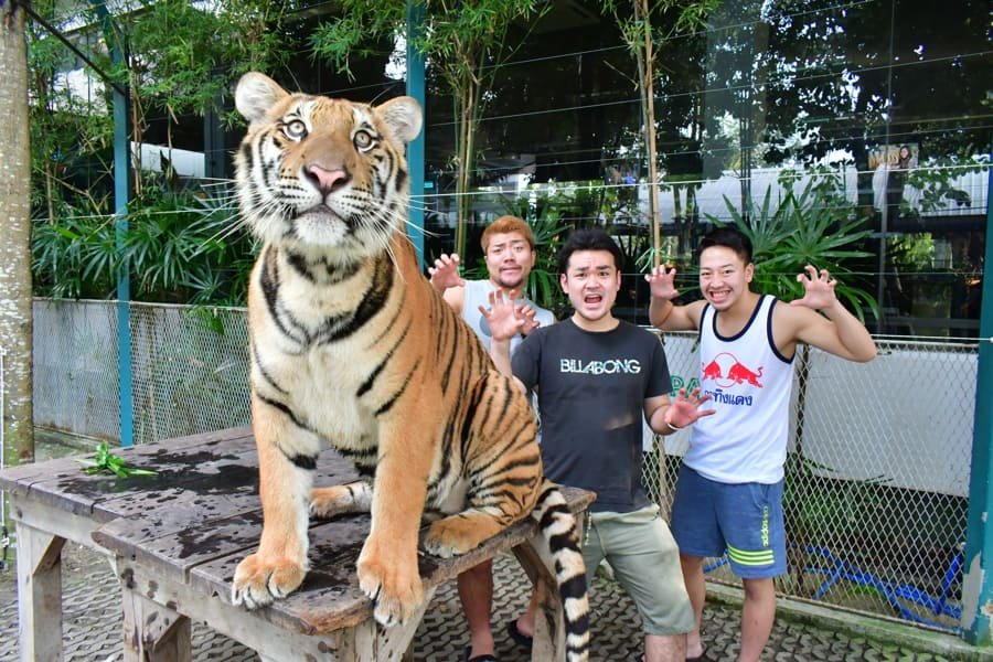Day 4 | Pattaya to Bangkok – Explore the City of Angels