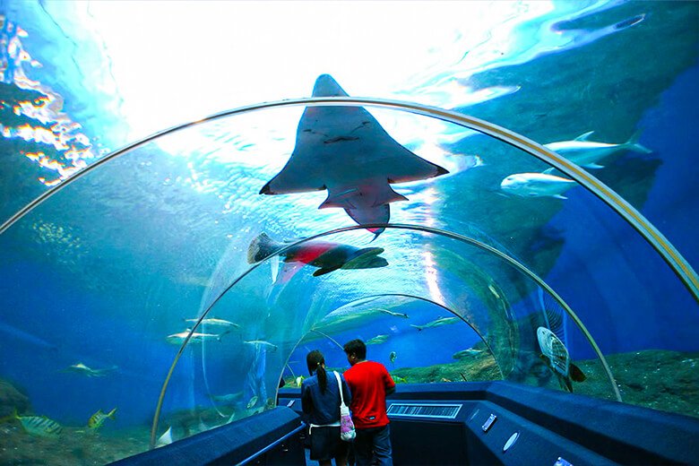 DAY 3 – UNDERWATER WORLD PATTAYA