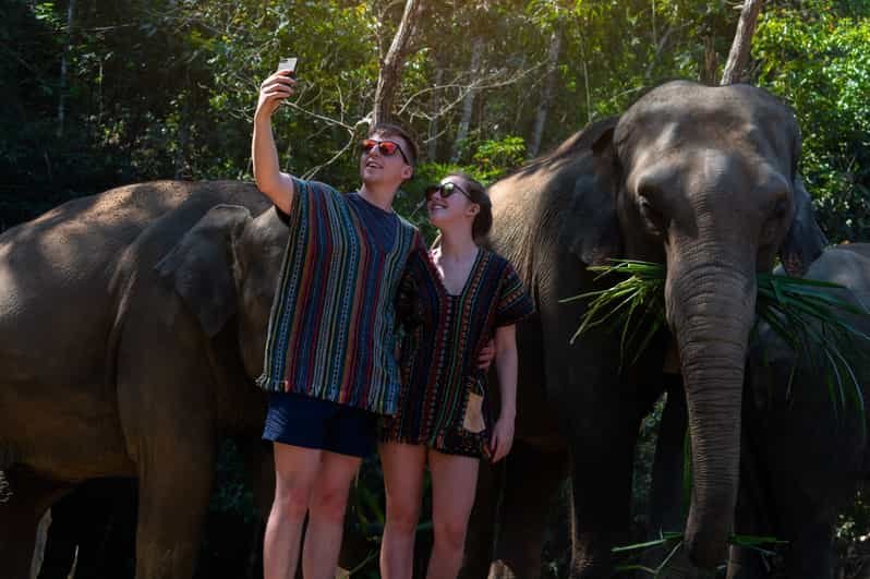 DAY 5: ELEPHANT JUNGLE SANCTUARY (optional at Extra Cost) or Leisure Day